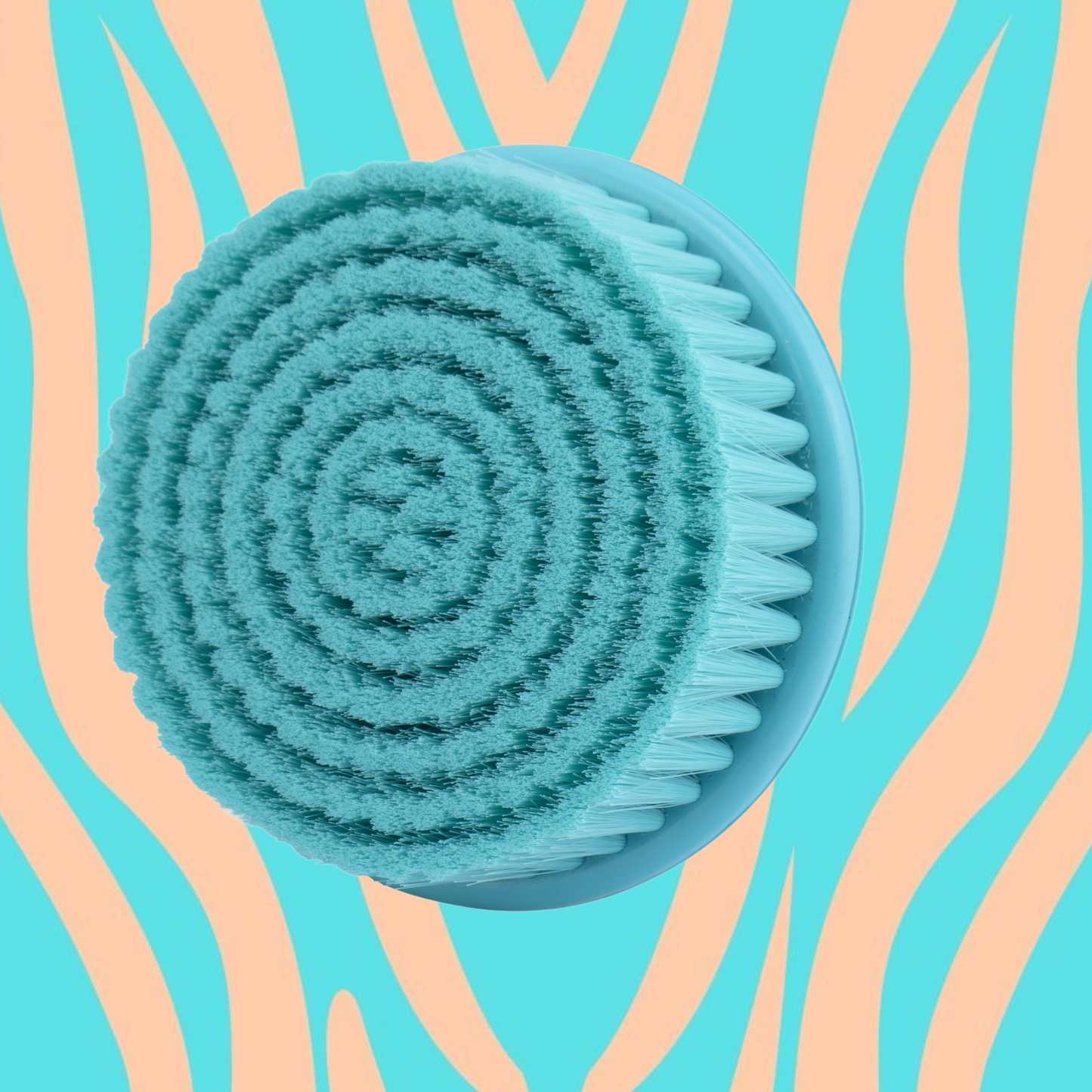 Soft Bristle Brush Head