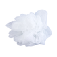 Loofah Brush Head