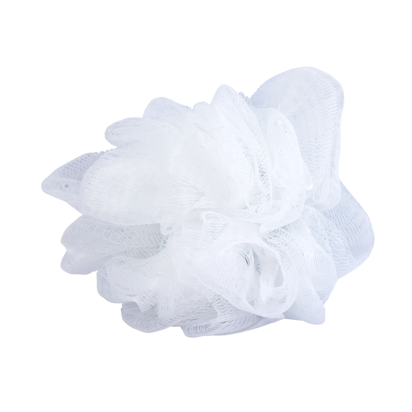 Loofah Brush Head