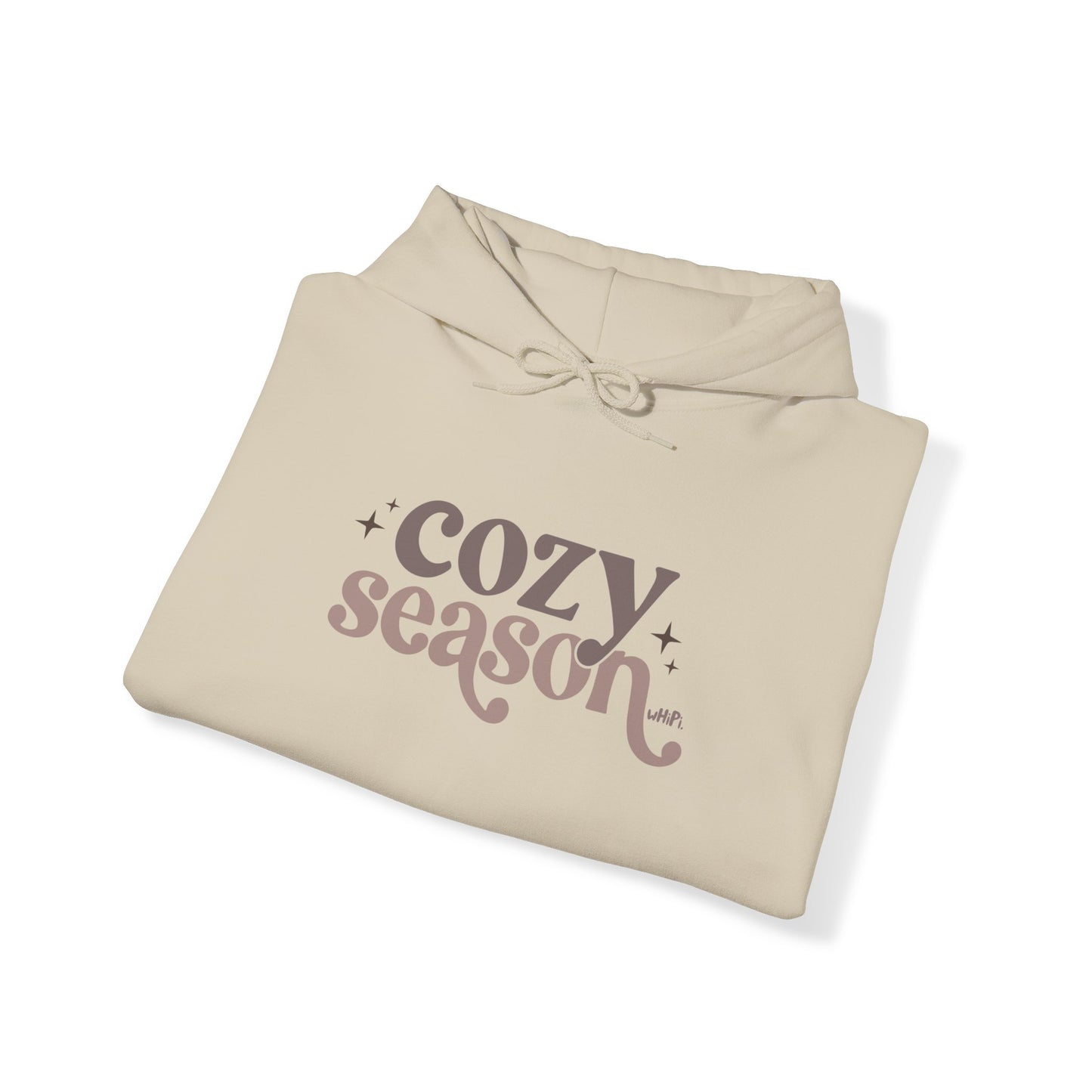 Cozy Season Hoodie