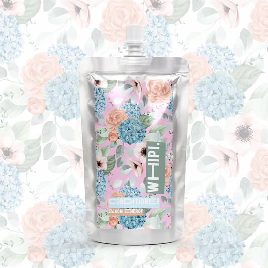 Bloom Energy Conditioner